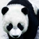 สมาชิกหมายเลข 882449