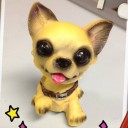 ผงปรุงรส