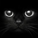 สมาชิกหมายเลข 882629