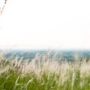 สมาชิกหมายเลข 1431875