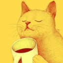 แมวลายขวางนอนกลางบ้าน