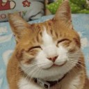 สมาชิกหมายเลข 882890