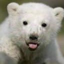 สมาชิกหมายเลข 883127