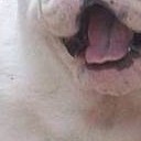 มหาอำนาจแห่งความอ้วน