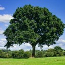 สมาชิกหมายเลข 1708767