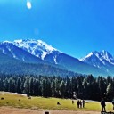 สมาชิกหมายเลข 2050024