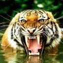 สมาชิกหมายเลข 859744