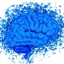 สมาชิกหมายเลข 883515