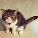 สมาชิกหมายเลข 1709359