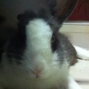 สมาชิกหมายเลข 1240616