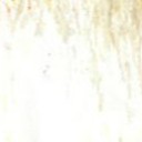 สมาชิกหมายเลข 2128213