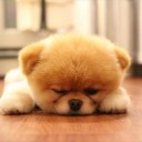 สมาชิกหมายเลข 2520533