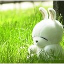 สมาชิกหมายเลข 1069925