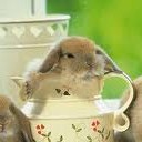 สมาชิกหมายเลข 789313