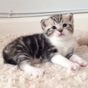 สมาชิกหมายเลข 1383855