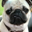 สมาชิกหมายเลข 2128636