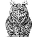 สมาชิกหมายเลข 2921990