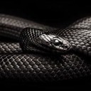 สมาชิกหมายเลข 2922144