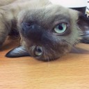 สมาชิกหมายเลข 992462