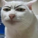 สมาชิกหมายเลข 1281592