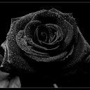 สมาชิกหมายเลข 1828967