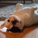 สมาชิกหมายเลข 831442