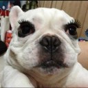 แจกันสีขาว