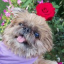 sungซ่า-waน่ารัก