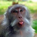 รวยรวยทรัพย์