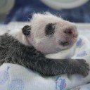 อีหวึ่งแห่งบ้านทุ่ง