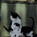 สมาชิกหมายเลข 2052270