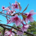 อย่าด่าเขาน่ะ