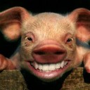 สมาชิกหมายเลข 1857221