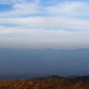 สมาชิกหมายเลข 787052