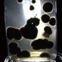 สมาชิกหมายเลข 1711301