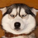 สมาชิกหมายเลข 2129763