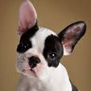 สมาชิกหมายเลข 2923496