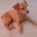 คิมวูลิน