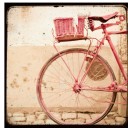 สมาชิกหมายเลข 1004289