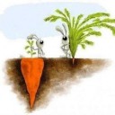 ม้าลายหัวโตตาเศร้าสร้อย