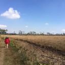 สมาชิกหมายเลข 2726225