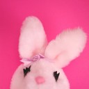 สมาชิกหมายเลข 3000918