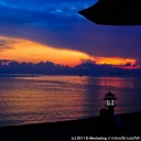 สมาชิกหมายเลข 878559