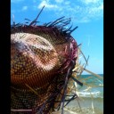 นางสาวอันดามัน