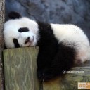 ถ้วยฟูกะฟองนม