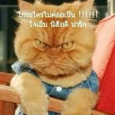 สมาชิกหมายเลข 1866038