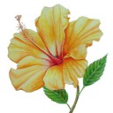 สมาชิกหมายเลข 1912840