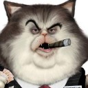 ใช้(เก๊า)ในราชการเท่านั้น