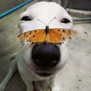 สมาชิกหมายเลข 2925201