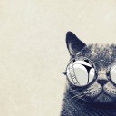 สมาชิกหมายเลข 1401639